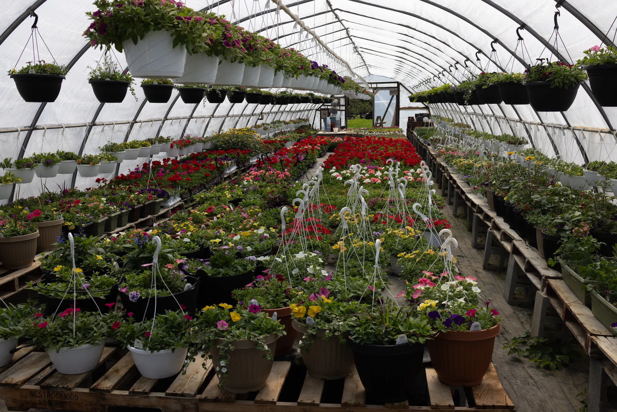 Harner Farm, image 2